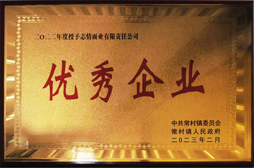 买球赛的app官网