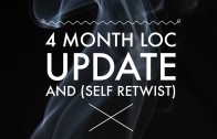4 months Loc Update/Self Retwist (Loc Challenge Response)