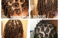 Loc Journey – Starter Locs on Soft Hair