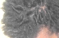 Trying to grow free form dreads